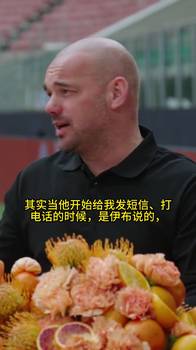 斯内德:当时没准备好离开皇马,穆帅打电话发信息说服我加盟国米